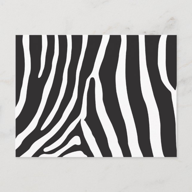 Zoo Postcard (Front)