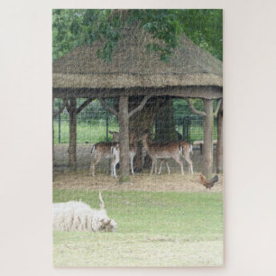 Zoo Puzzle: Deerpark Jigsaw Puzzle