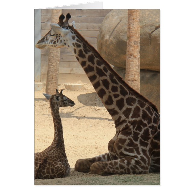 Zoo Series, Baby Giraffe and Mum (Front)