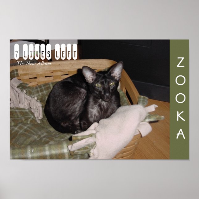 Zooka 2007 poster (Front)