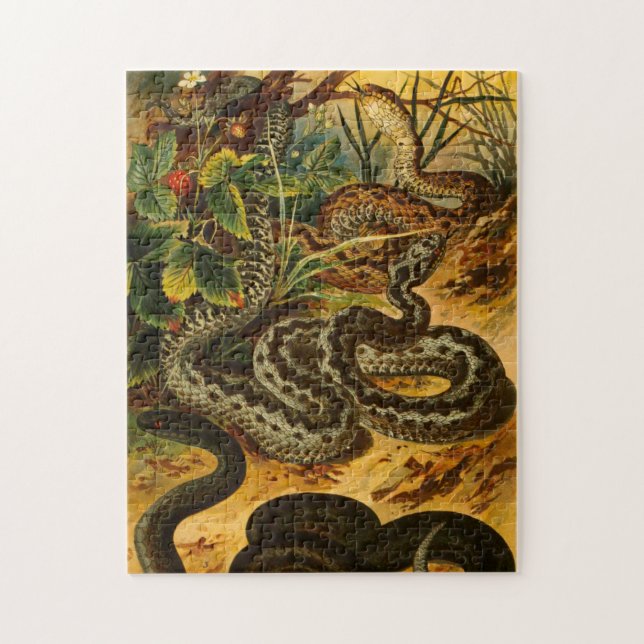 Zoological Sketch Vintage Snake Jigsaw Puzzle (Vertical)