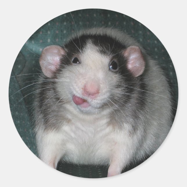 Zorro Classic Round Sticker (Front)