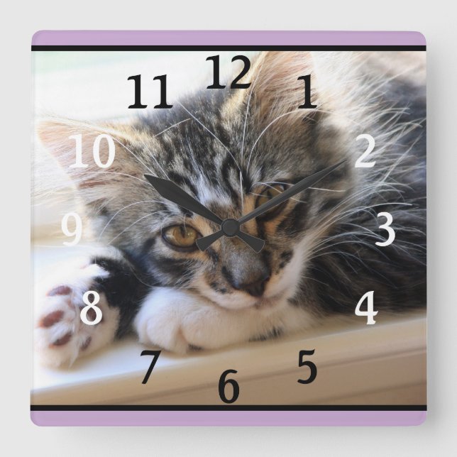 ZorroCat By The Window Wall Clock (Front)