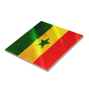 zSN002 SENEGAL, Waving Flag, Africa, Fridge Tile
