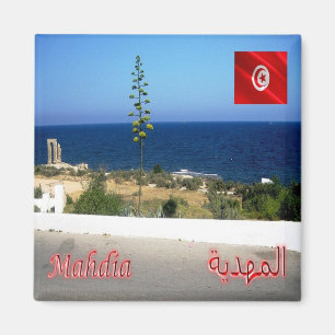 zTN011 MAHDIA, Tunisia, Africa, Fridge Magnet