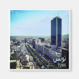 zTN014 TUNIS, Tunisia, Africa, Fridge Magnet
