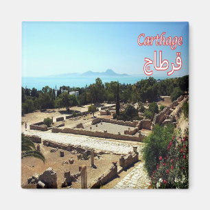 zTN022 CARTHAGE, Ruins, Tunisia, Africa, Fridge Magnet