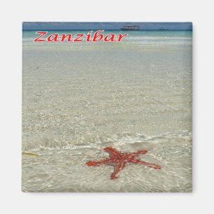 zTZ011 ZANZIBAR, Starfish,Tanzania, Africa, Fridge Magnet