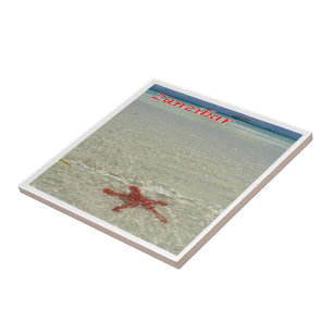 zTZ011 ZANZIBAR, Starfish,Tanzania, Africa, Tile