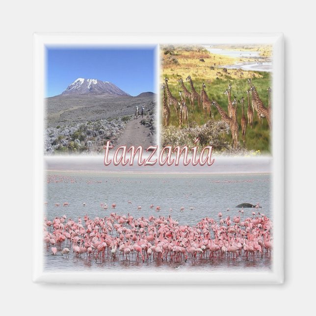 zTZ019 TANZANIA, Mosaic, Africa, Fridge Magnet (Front)