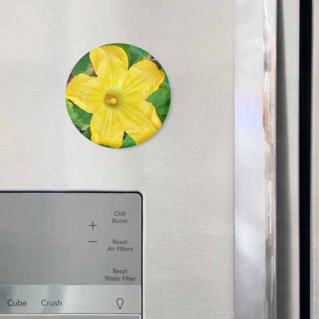Zucchini Flower Magnet (In Situ (Fridge))