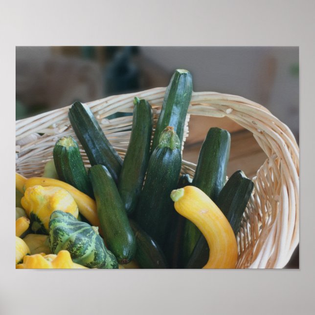 Zucchini Squash Gourds Vegetables Poster (Front)
