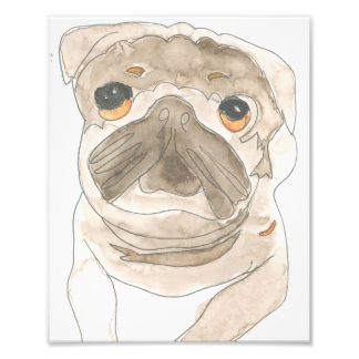 Zues Pup Print