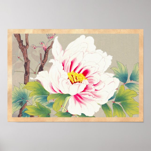 Zuigetsu Ikeda Pink Camellia japanese flower art Poster (Front)