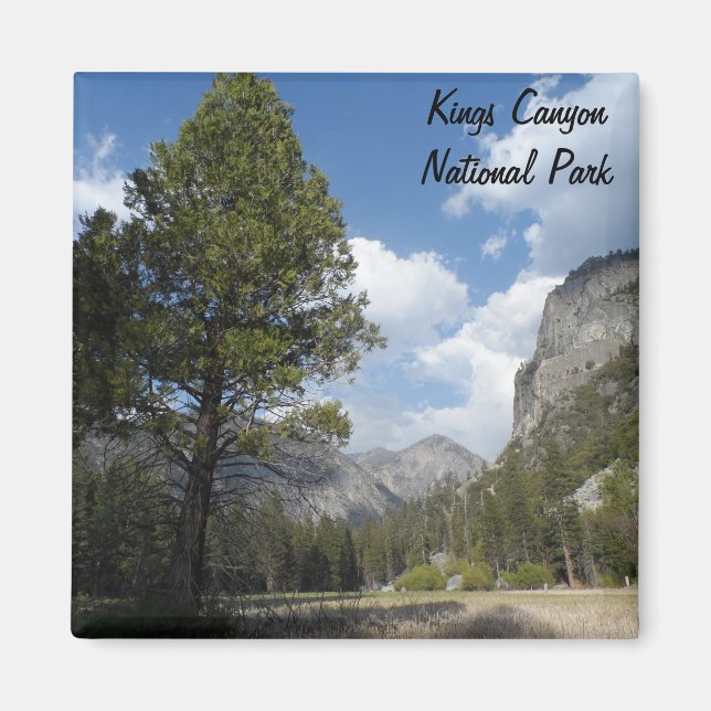 Zumwalt Meadow- Kings Canyon National Park Magnet (Front)