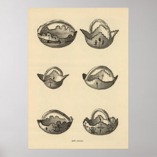Zuni grails poster