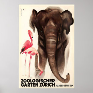 Zurich Swiss Zoo Elephant Flamingo Animal Poster