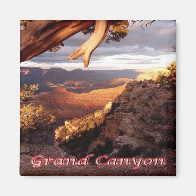 zUS136 GRAND CANYON National Park, Arizona, Fridge Magnet (Front)