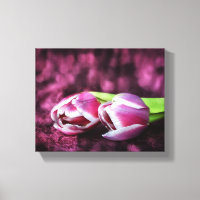 Zwei rosa Tulpen