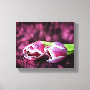 Zwei rosa Tulpen Canvas Print