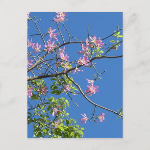 Zweig mit Blumen Postcard