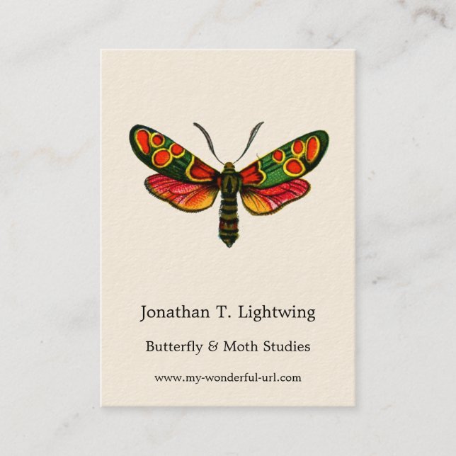 Zygaena carniolica - The Crepuscular Burnet Moth Business Card (Front)