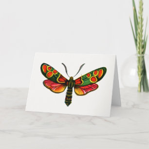 Zygaena carniolica - The Crepuscular Burnet Moth Card