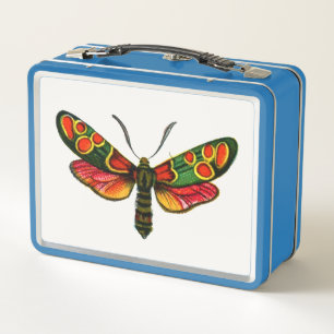 Zygaena carniolica - The Crepuscular Burnet Moth Metal Lunch Box