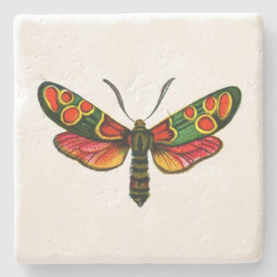 Zygaena carniolica - The Crepuscular Burnet Moth Stone Coaster