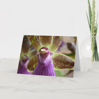 Zygopetalum Orchid Card