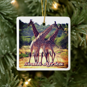 zZA011 SOUTH AFRICA, Giraffes, Ceramic Ornament