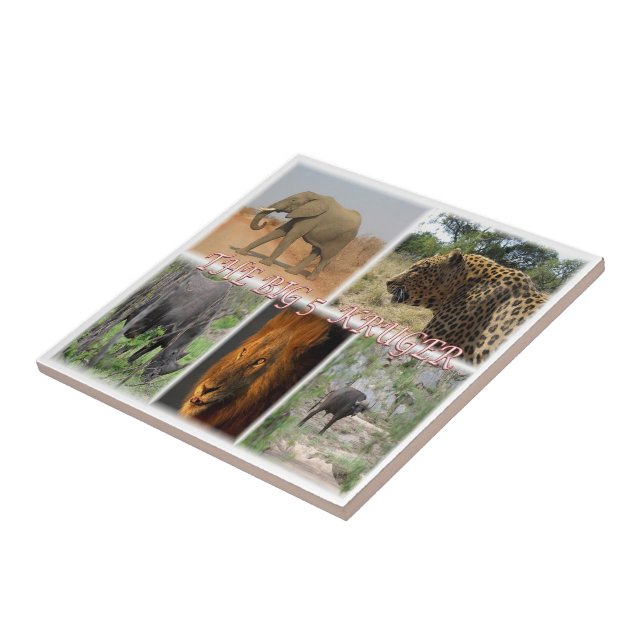 zZA027 SOUTH AFRICA, THE BIG 5 in KRUGER NP  Tile (Side)